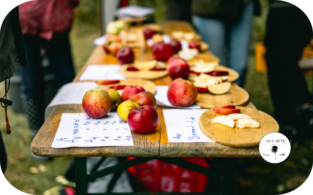 Jardín Comunitario en Damlos