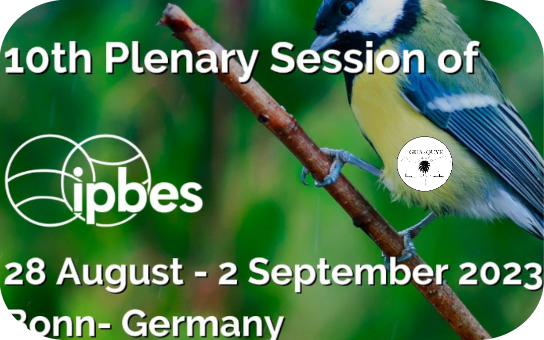 IPBES 10th Plenary+Stakeholder day
