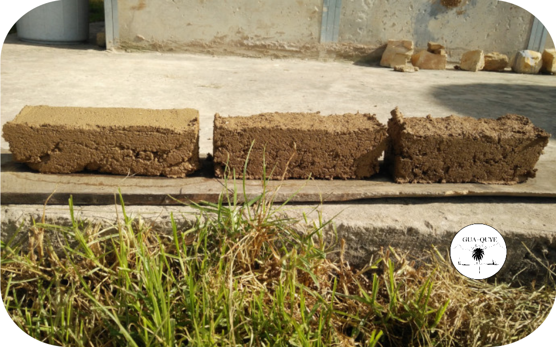 Bioconstruction 2023